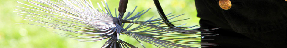 Banner - Volker Wendelstein